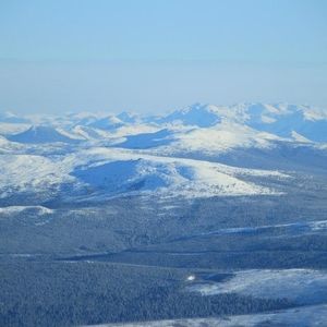 Meet your Posher, Walter